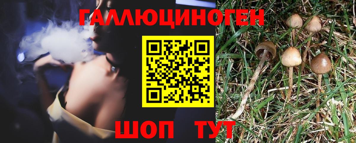 Галлюциногенные грибы MAGIC MUSHROOMS  Вход с VPN  Мытищи 